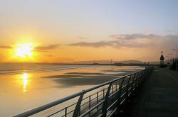 开云下载-斯旺西